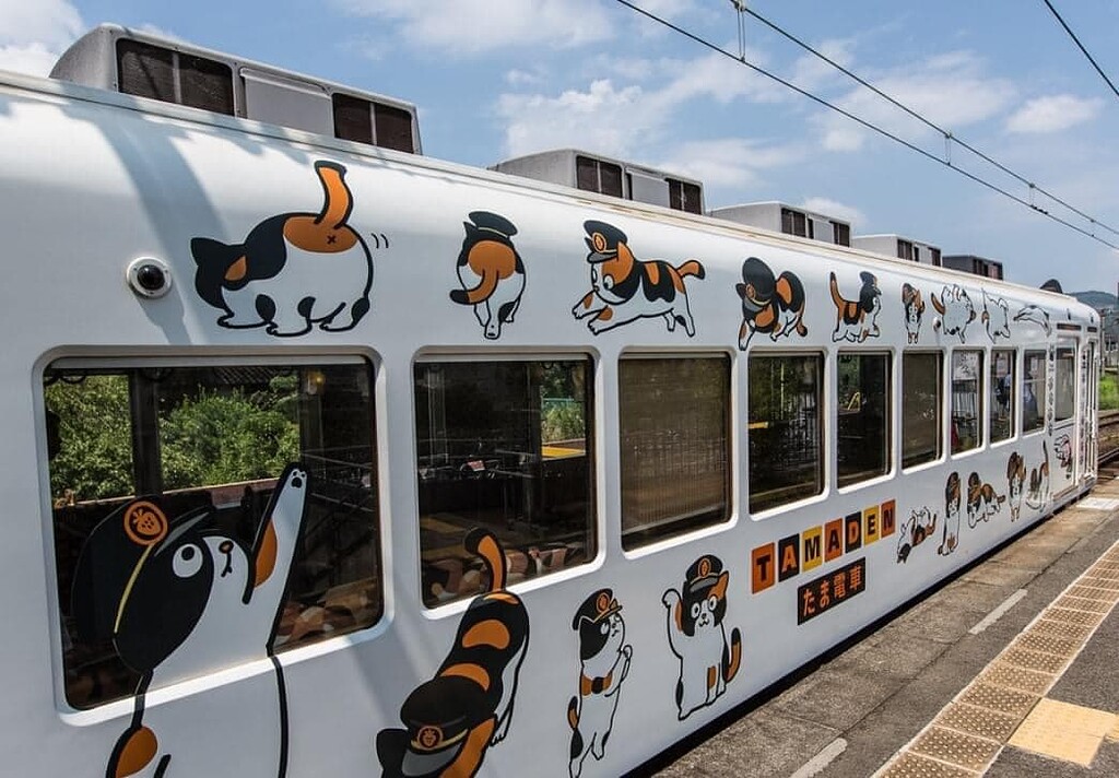 “La Gata que salvó una estación de tren 😸😊 Buena Onda MiForo