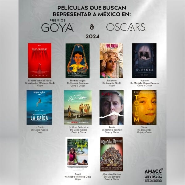 Peliculas Mexicanas Que Buscan Representar A Mexico En Los Premios Oscar Y Goya De Todo Un 1962