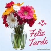 feliztarde1