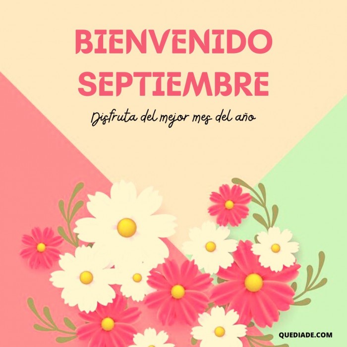 bienvenido-septiembre-14