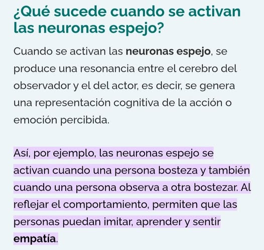 neuronasespejo